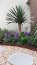 Garden Edging