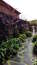 Planting Softscapes